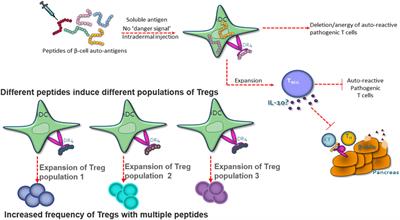 Peptide Immunotherapy for Type 1 Diabetes—Clinical Advances